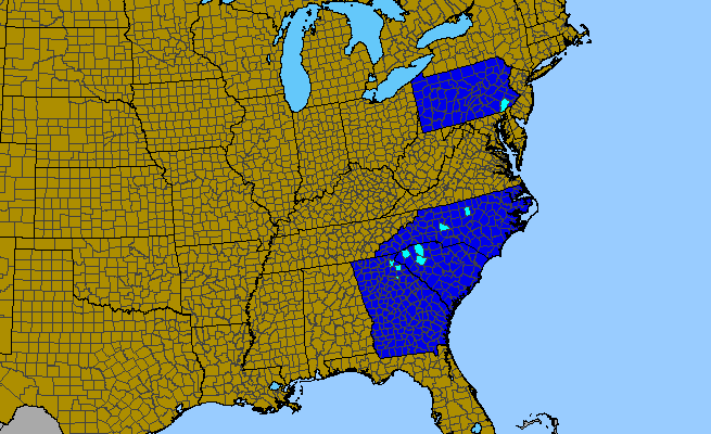 The range of Cedrus deodara